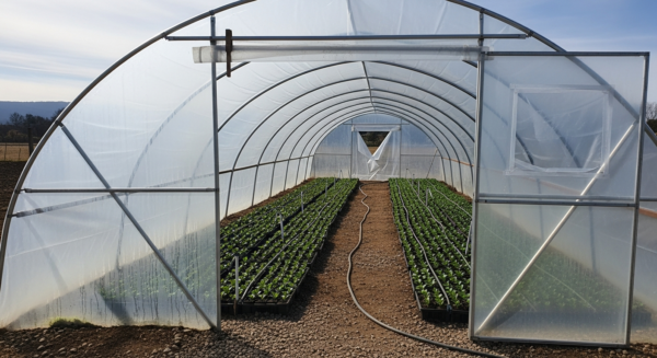 Polietileno para Invernadero-150 micrones